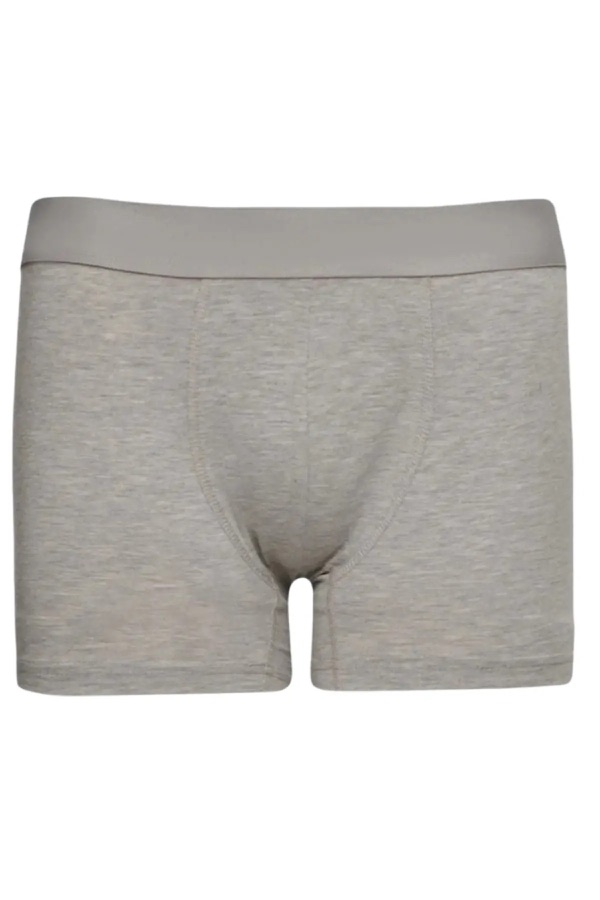 Gri erkek boxer